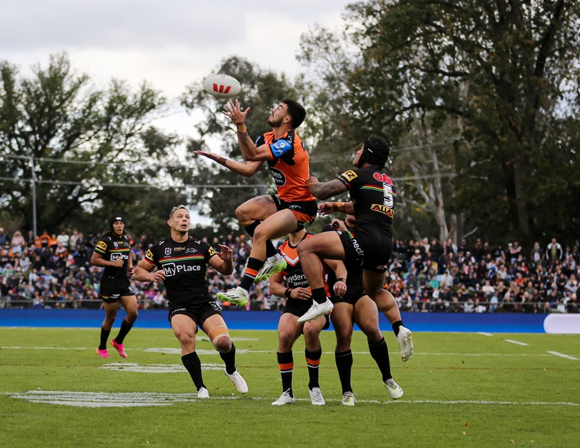 A leaping Charlie Staines against the Panthers in Bathurst 