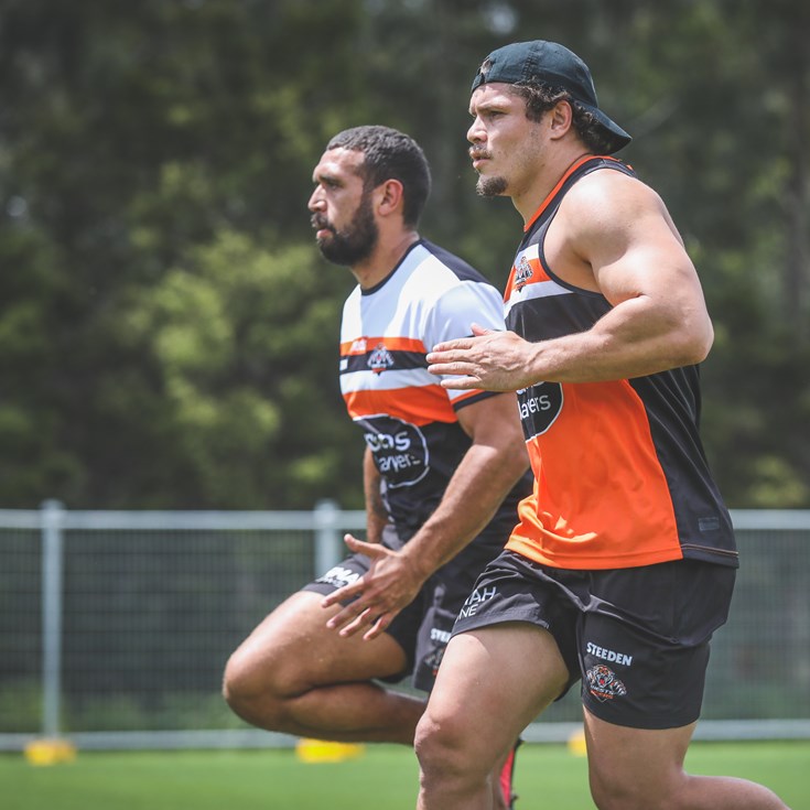 Jimmy the Jet begins life as a Tiger