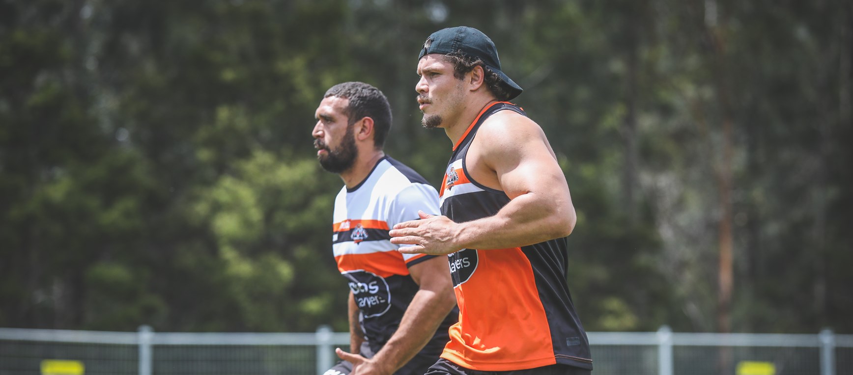 Jimmy the Jet begins life as a Tiger