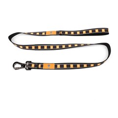 PET LEAD