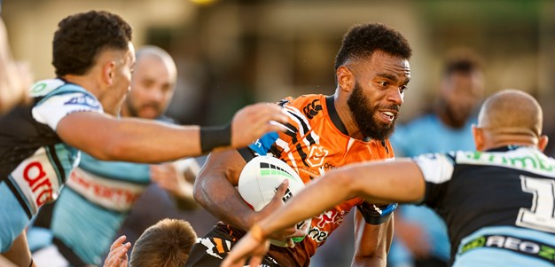 Tigers fall to Sharks