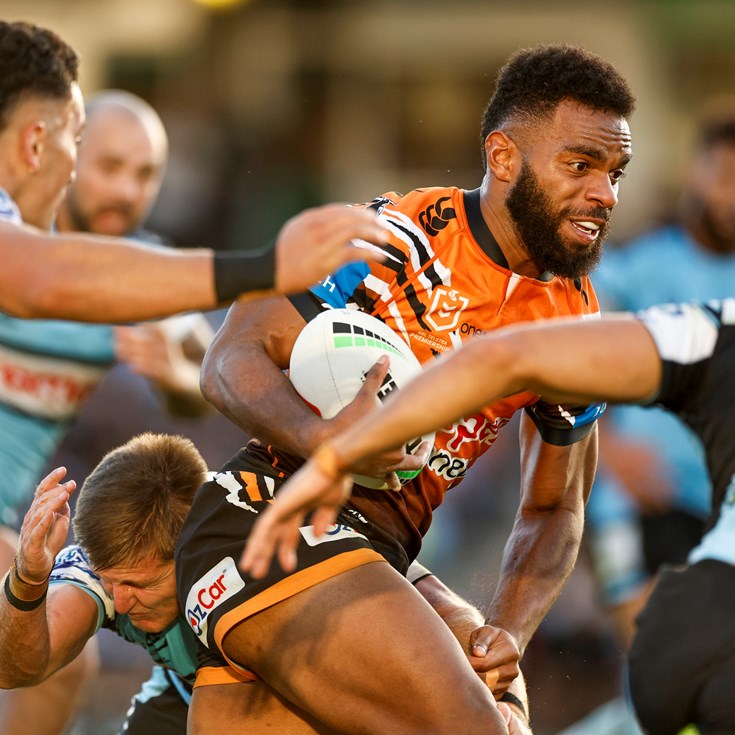 Tigers fall to Sharks