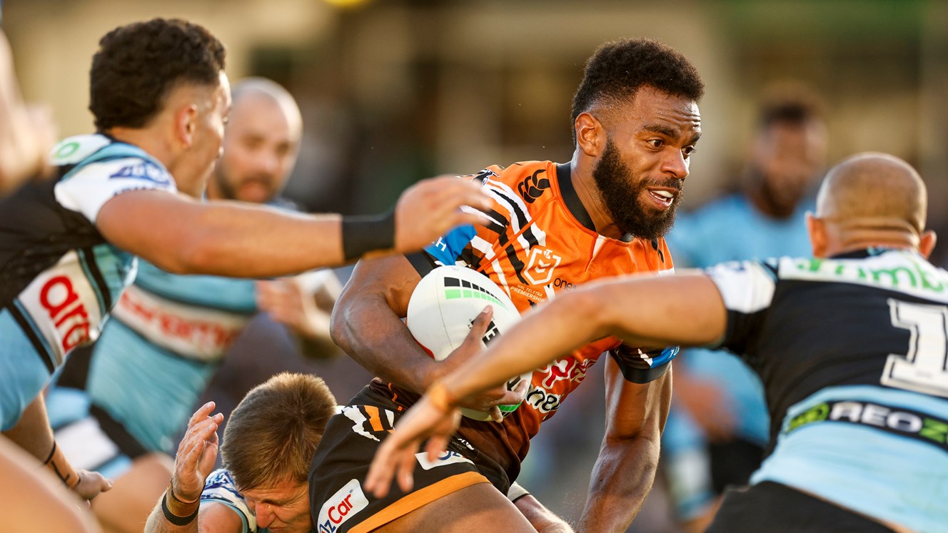 Tigers fall to Sharks