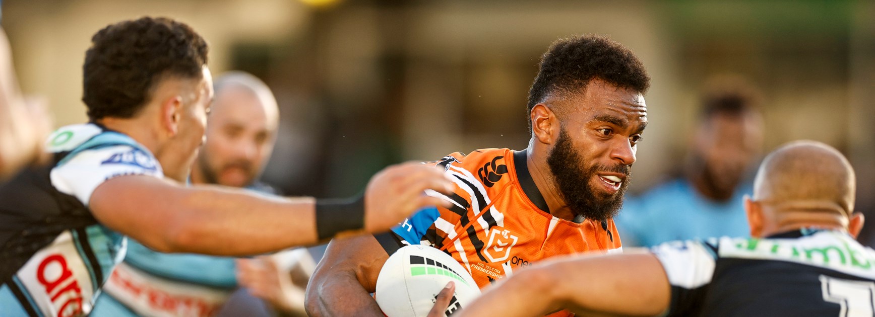 Tigers fall to Sharks