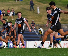 McCarthy’s Magpies on the Rise