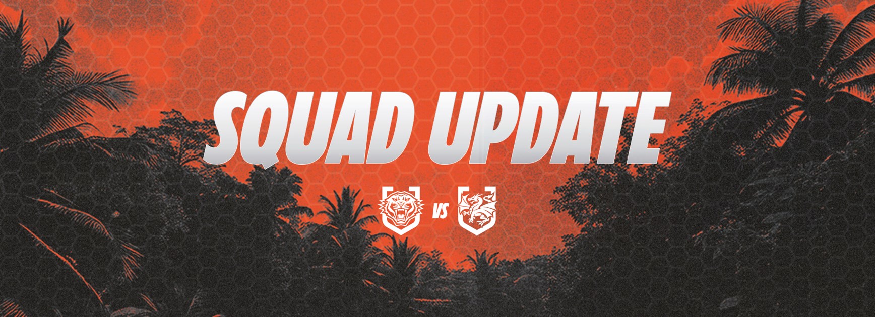 Squad Update: NRL Round 9 vs Dragons