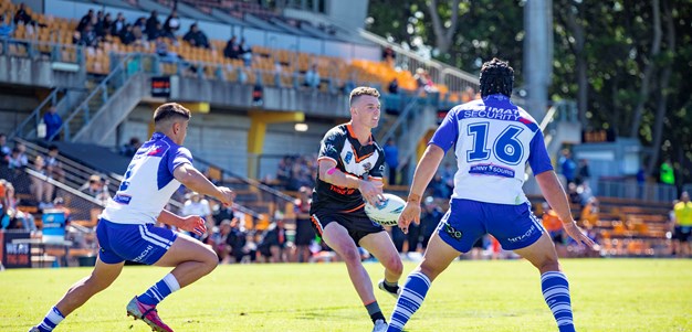 Wests Tigers and Bulldogs split points in Jersey Flegg