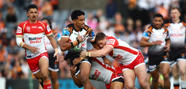 Tigers fall to Dolphins at Campbelltown