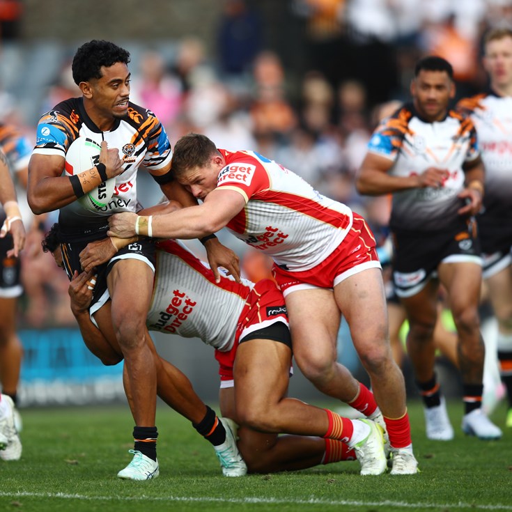 Tigers fall to Dolphins at Campbelltown