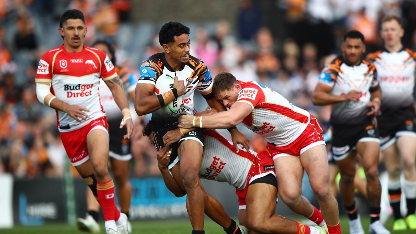 Tigers fall to Dolphins at Campbelltown