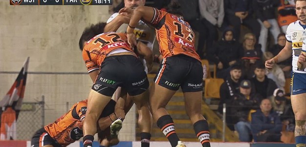 Wests Tigers hunting in numbers