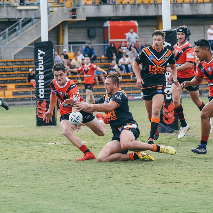Wests Tigers come from behind to down Bears