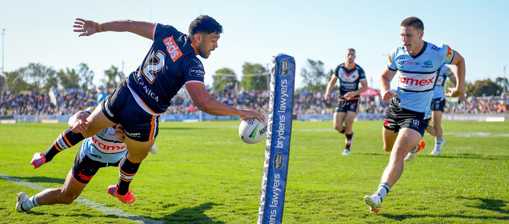 The best photos from Round 23