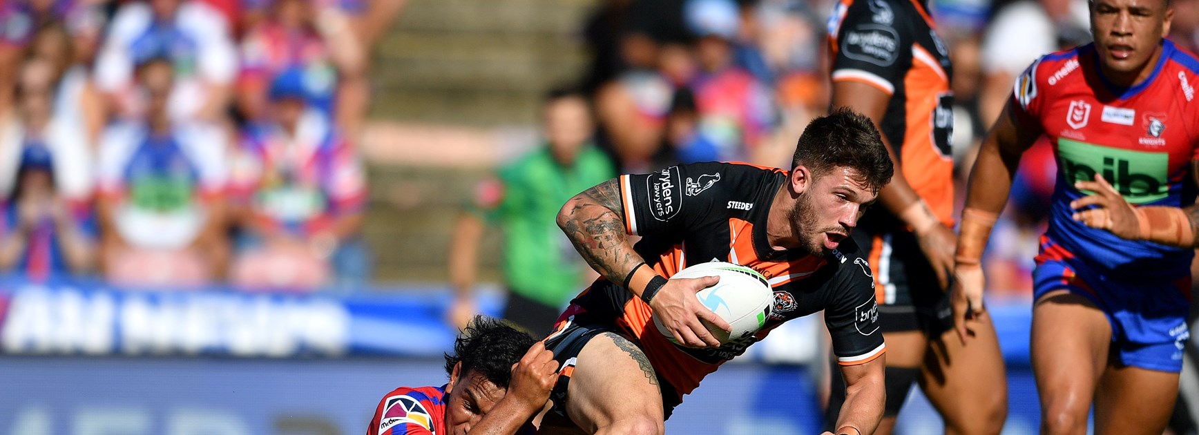 Knights go two straight with impressive home win over Wests Tigers