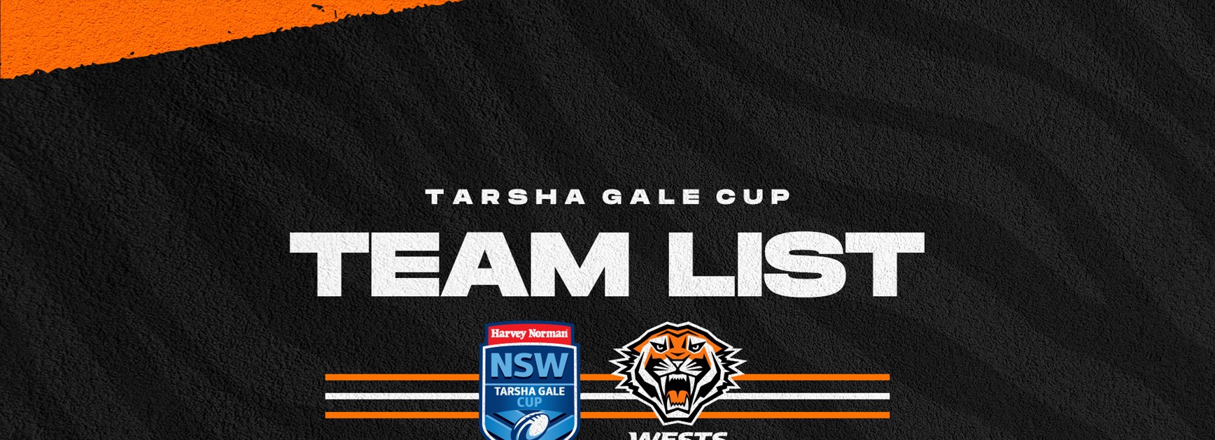 Harvey Norman Tarsha Gale Cup Team List: Semi Final