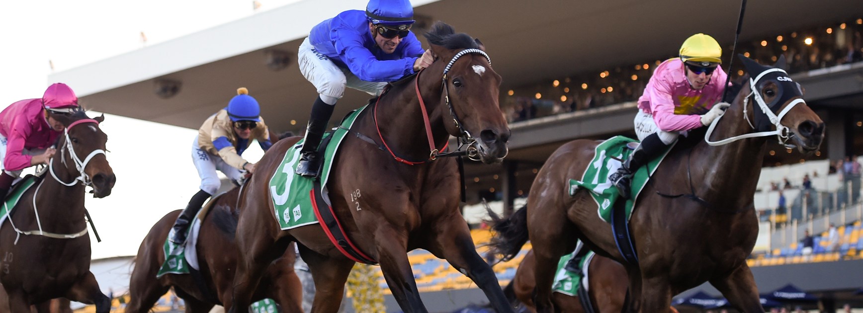 FREE entry to Rosehill Races for Wests Tigers Members