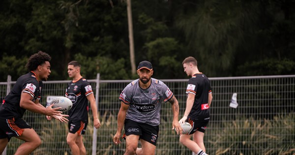 www.weststigers.com.au