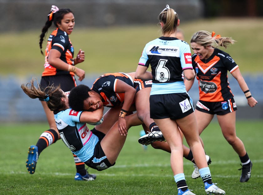 Rematch against the Sharks to open HNW Premiership