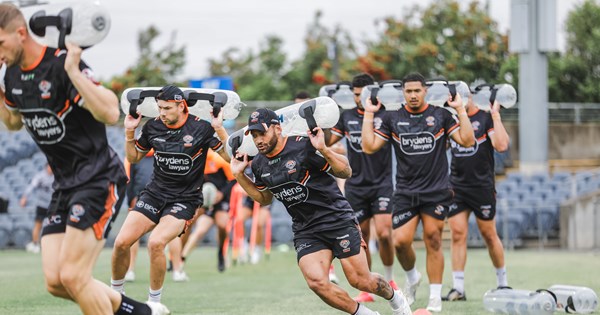 www.weststigers.com.au