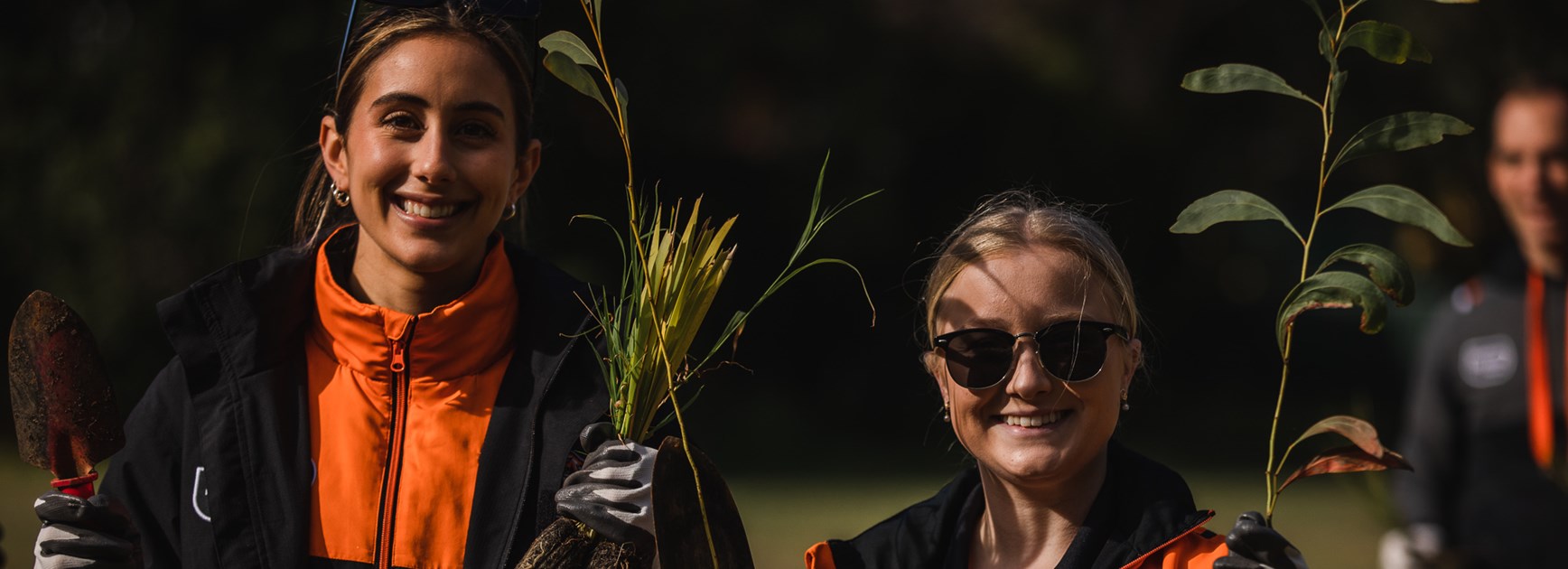Wests Tigers planting for the future