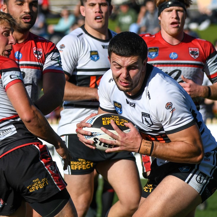 Match Report: NSW Cup Round 18 vs Bears