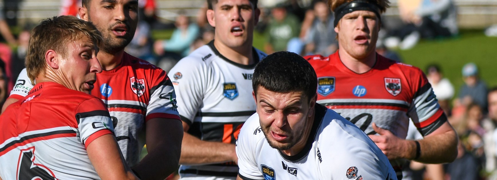 Match Report: NSW Cup Round 18 vs Bears