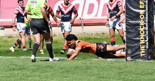 www.weststigers.com.au