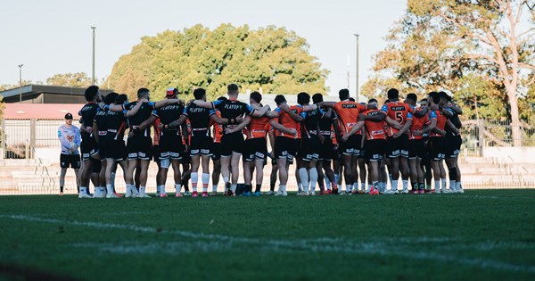 www.weststigers.com.au