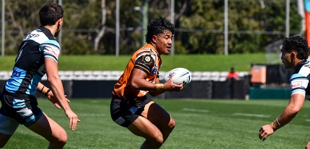 Tigers knocked out of Jersey Flegg finals by Sharks