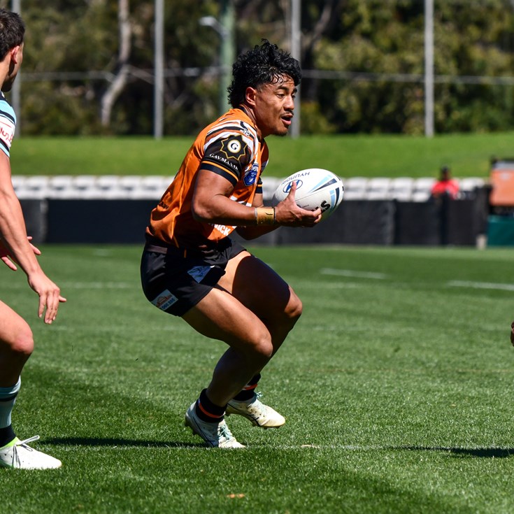 Tigers knocked out of Jersey Flegg finals by Sharks