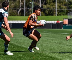 Tigers knocked out of Jersey Flegg finals by Sharks