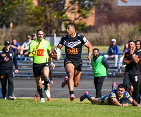 Stern test for Magpies against Bears in NSW Cup